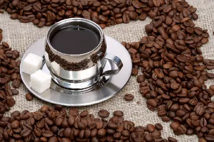 خرید قهوه روبوستا 60 . 40 + قیمت فروش استثنایی